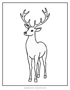 Reindeer Christmas Coloring Page