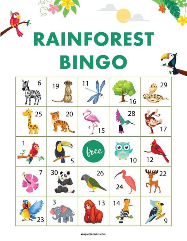 Rainforest Bingo