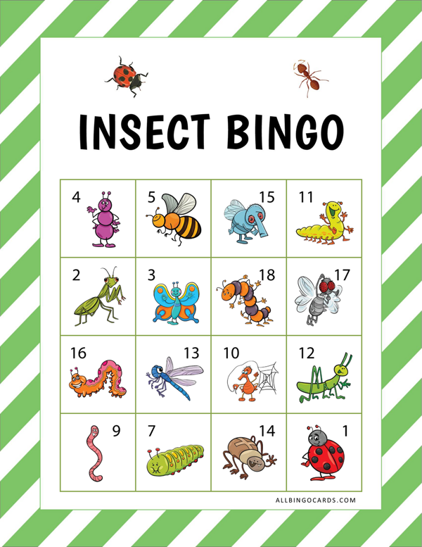 Insect Bingo