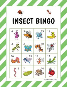 Insect Bingo