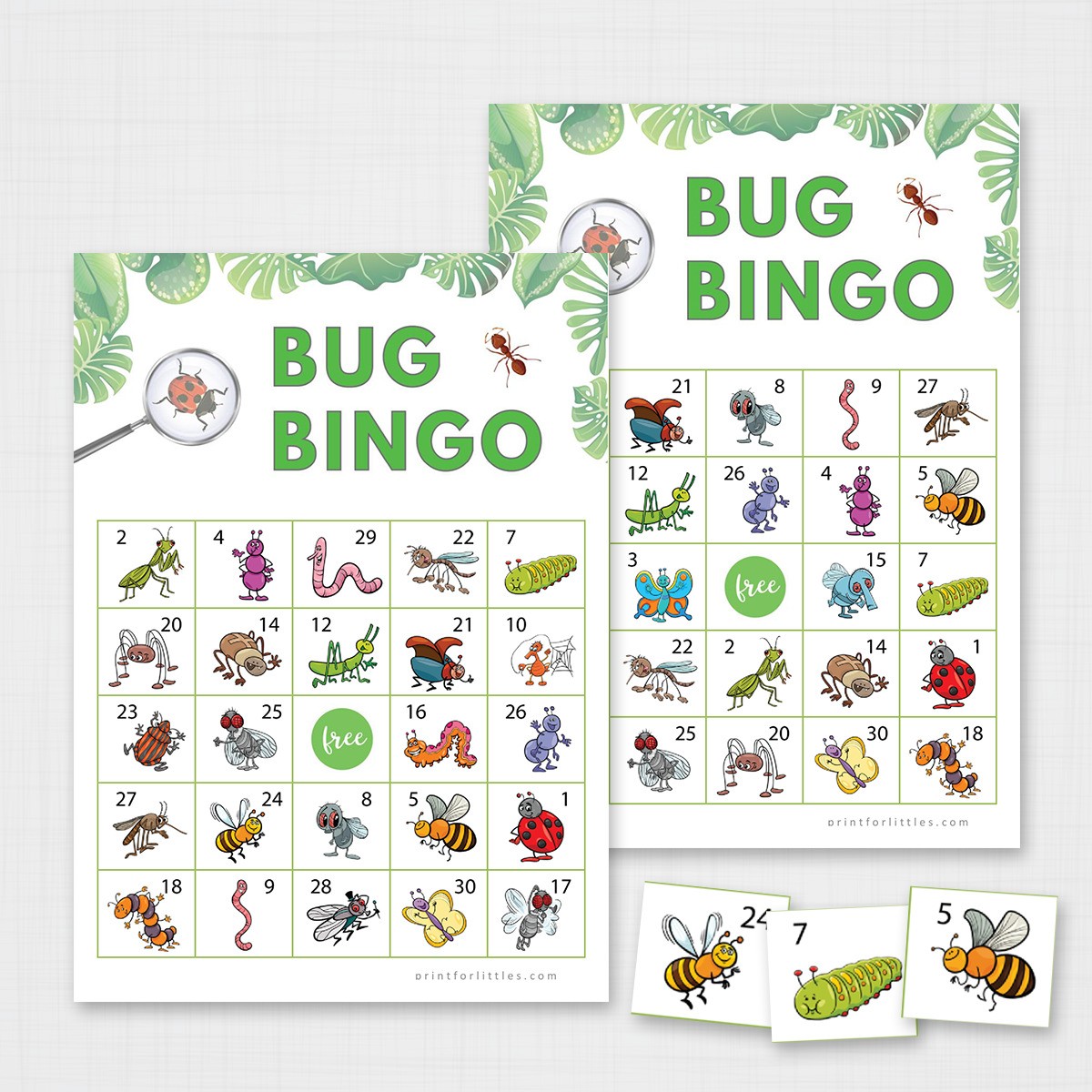 Insect Bingo Printable Cards