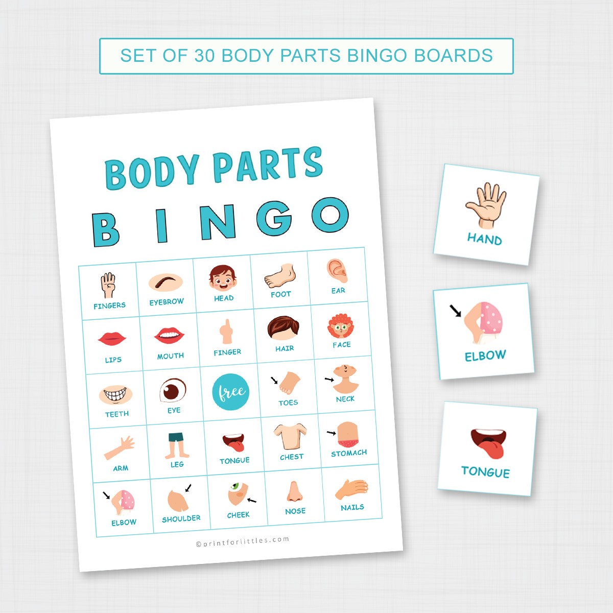 Body Parts Bingo Printable Cards